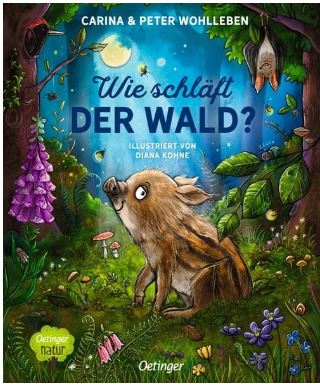 Wie schläft der Wald? Oetinger