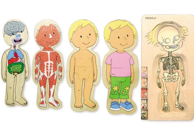 SALE: Lagen-Puzzle "Dein Körper" Mädchen Beleduc