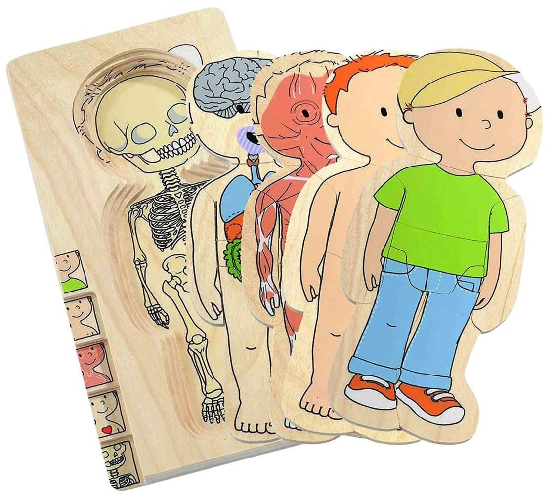 SALE: Lagen-Puzzle "Dein Körper" Junge Beleduc
