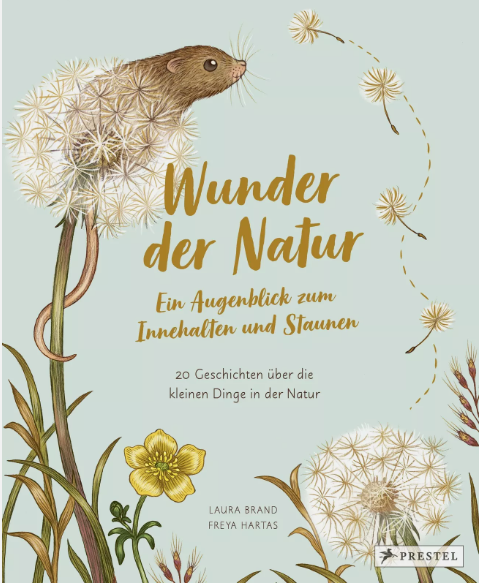 Wunder der Natur Ein Augenblick zum Innehalten und Mohr Morawa