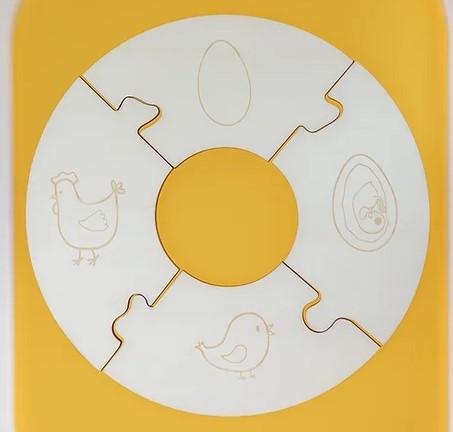 Lebenszyklus - Huhn Igelkind