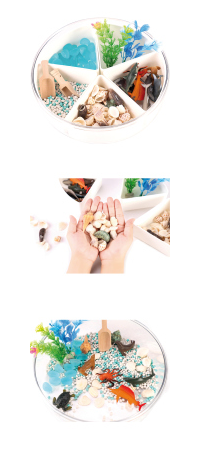 Sensorik-Kasten Meer