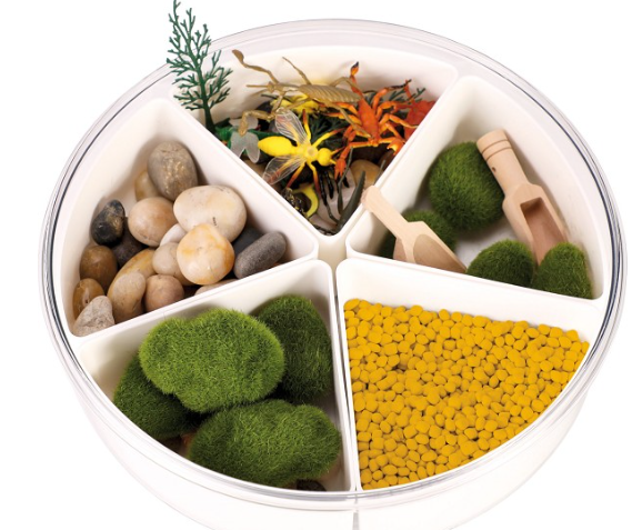 Sensorik-Kasten Insekten