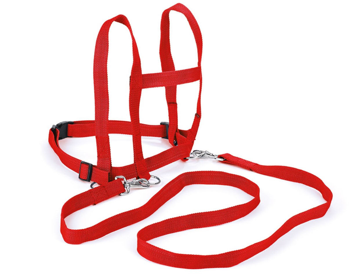 HSALES: Pferdreleine rot