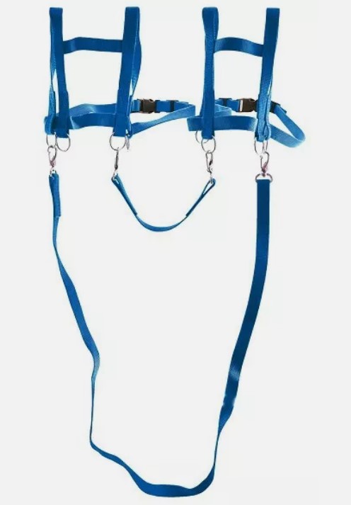 Pferdeleine Zweispänner