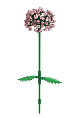 BRIXIES Plus Allium rosa