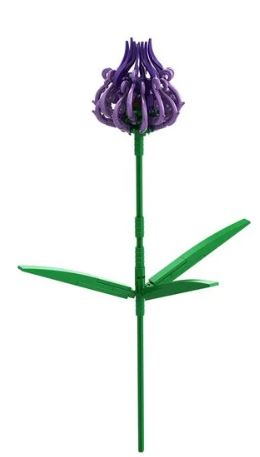 BRIXIES Plus Phyteuma lila