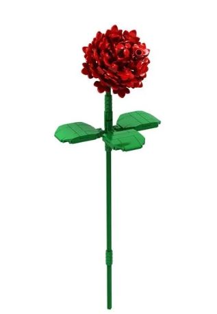 BRIXIES Plus Rose rot