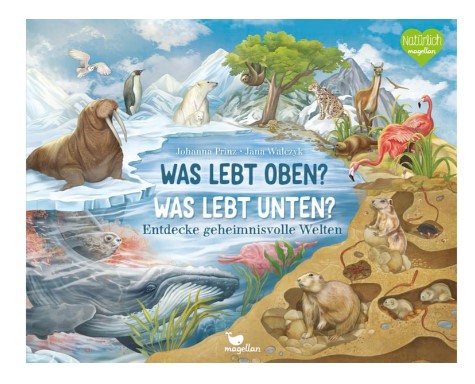 Was lebt oben? Was lebt unten?